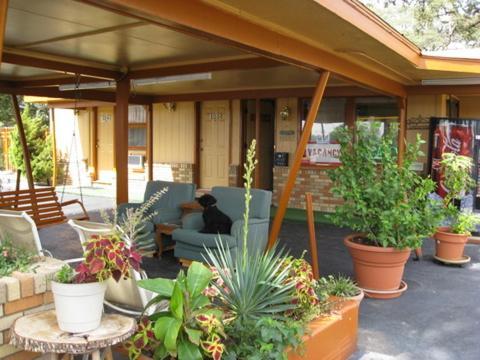 Walnut Forest Motel Austin Exterior foto